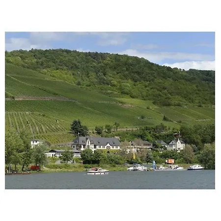 Pinot Noir Apartman *