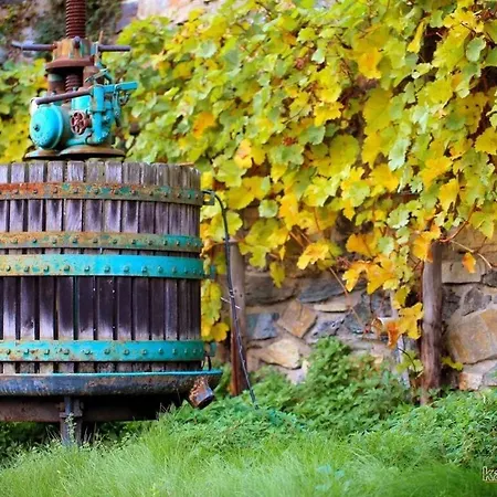 Pinot Noir Apartman